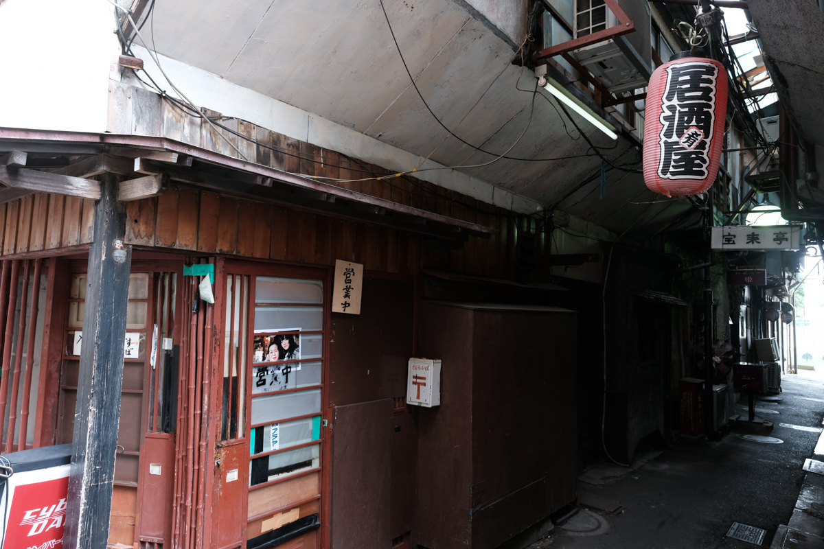 下町リハビリ散歩~第一章、青砥から立石2~_c0084666_12574918.jpg