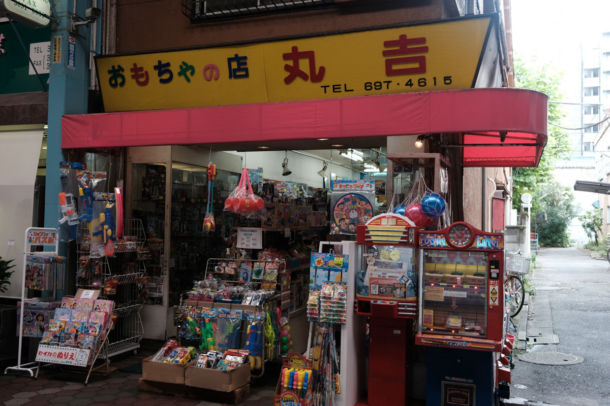 下町リハビリ散歩~第一章、青砥から立石2~_c0084666_12575075.jpg