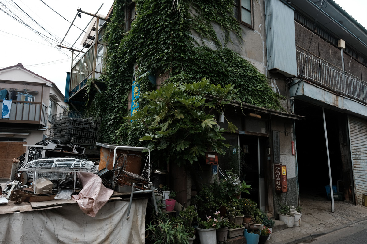 下町リハビリ散歩~第二章、八広から京島1~_c0084666_14061626.jpg