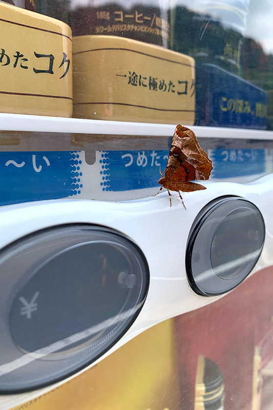 いつの間にか開通していた松姫峠に行っておく 年6月27日 暗 箱 夜 話 弐 號