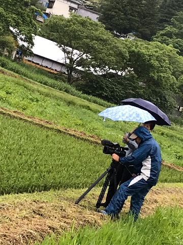 子供の頃から本ばっかり読んでいたから, こんな頭になっちゃった!_a0053480_06163286.jpg
