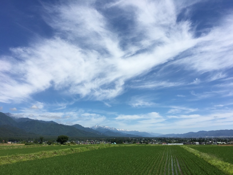 好きな眺め_a0034487_10145772.jpg