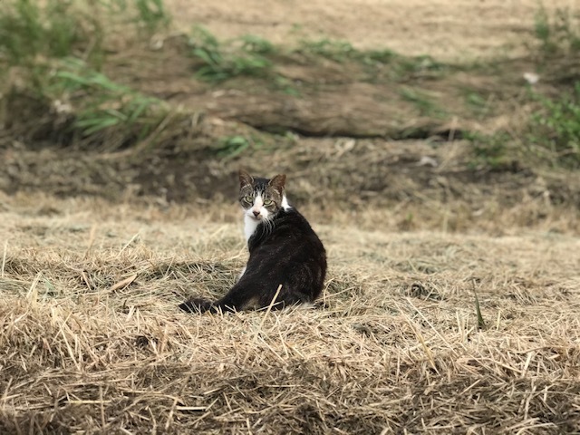 視界が開けていました♪_f0242002_18060578.jpg
