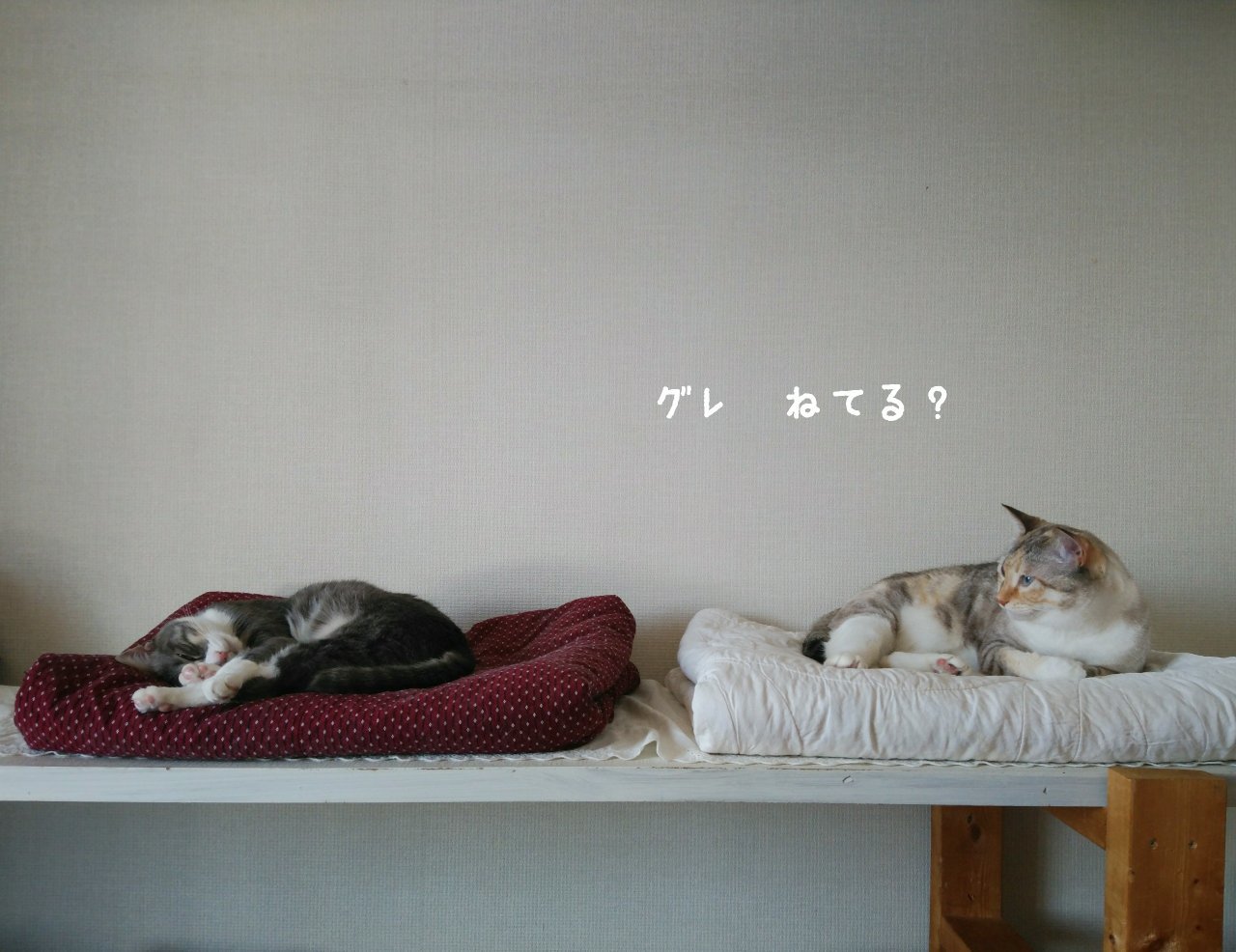 心地良い日_f0255704_13080811.jpg
