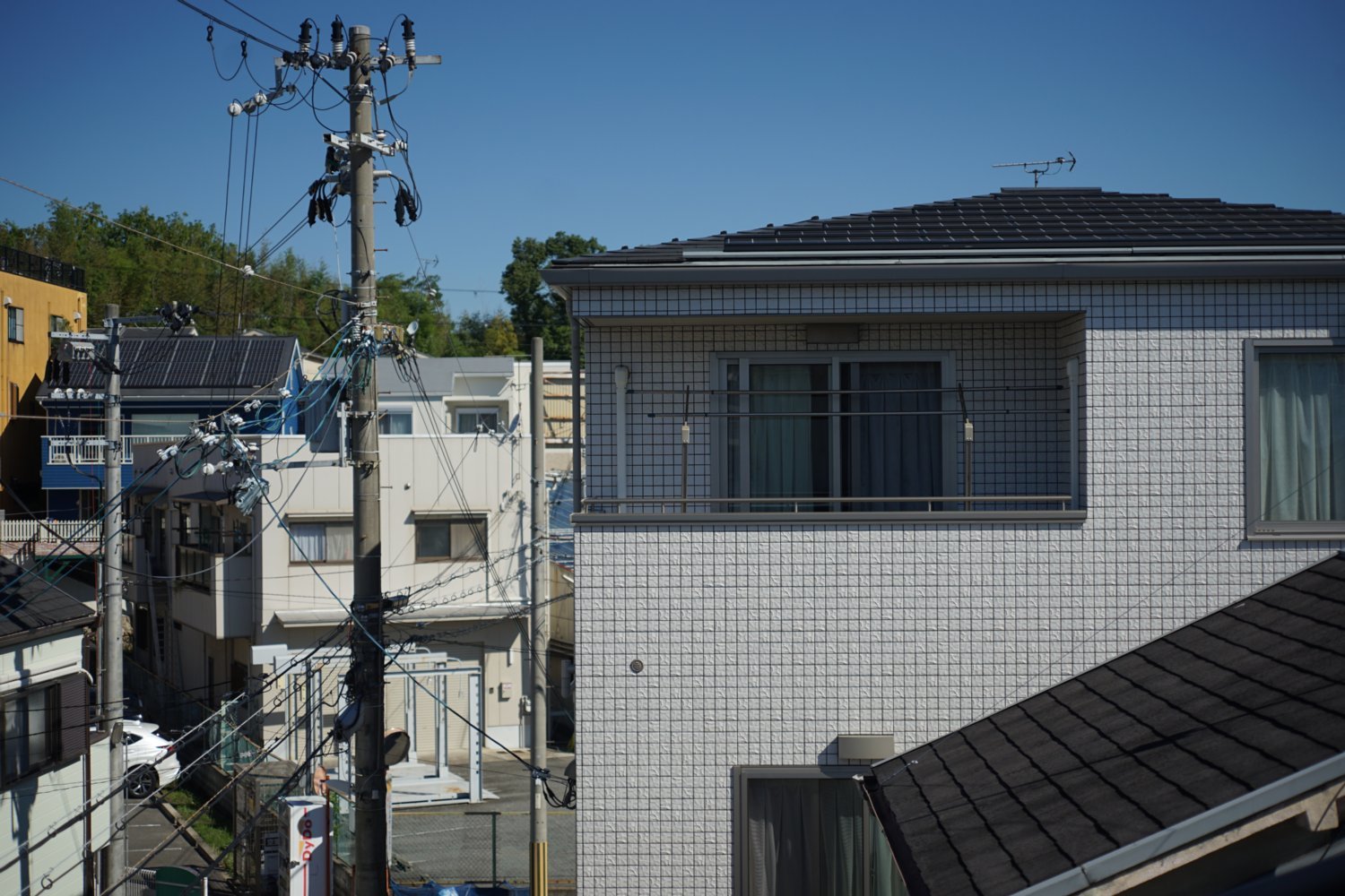 マイクロニッコール-P Auto 55mmF3.5 で 遊びましょ_b0069128_10532751.jpg