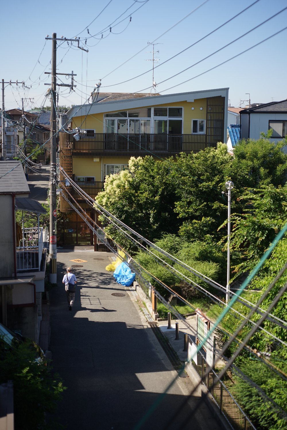 マイクロニッコール-P Auto 55mmF3.5 で 遊びましょ_b0069128_10533137.jpg