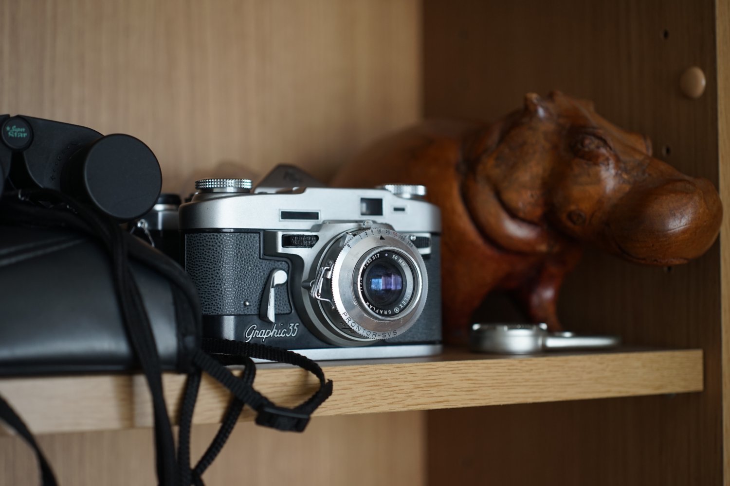 マイクロニッコール-P Auto 55mmF3.5 で 遊びましょ_b0069128_10543158.jpg