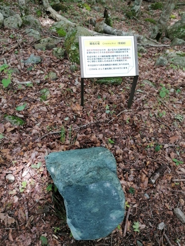 【YOC 沢登り隊】 西丹沢の美渓を行く_b0094033_19495659.jpg