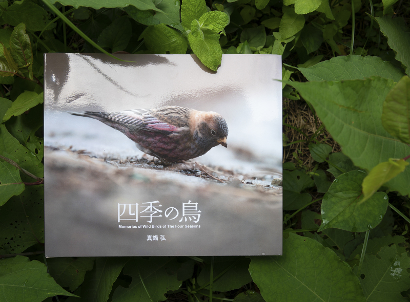blurbのphoto bookを試す_c0042548_10195667.jpg