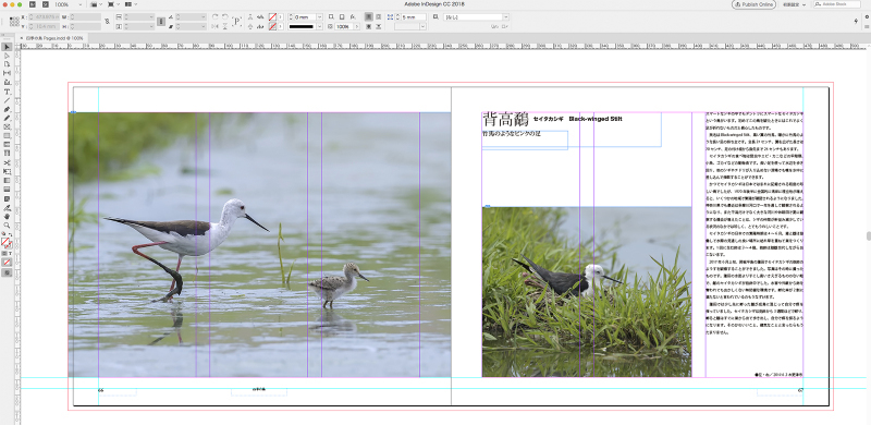 blurbのphoto bookを試す_c0042548_10390474.jpg