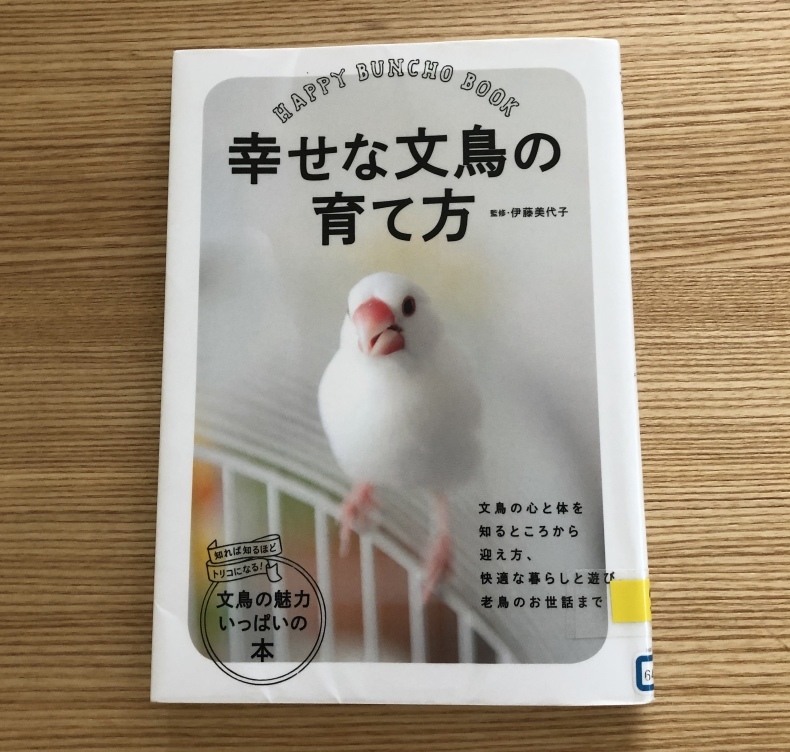 幸せな文鳥の育て方 Pianta 暮らしの雑記帳 幸せな文鳥の育て方 Pianta 暮らしの雑記帳