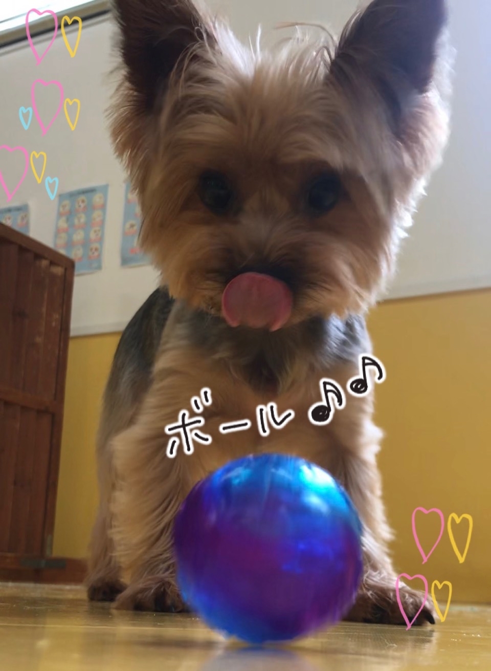enjoy🎶_f0357682_03405546.jpg