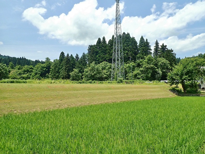 河川堤防は自宅の続きです_c0336902_20433048.jpg