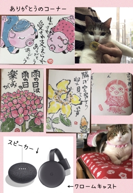 らんこちゃん家族猫_f0375804_07575128.jpg