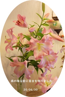 6月も今日まで_c0051105_21263388.jpg