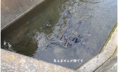 6月も今日まで_c0051105_23094010.jpg