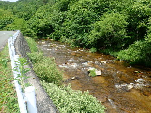 遠野遠征2020【梅雨の晴れ間に】_a0189506_20325250.jpg