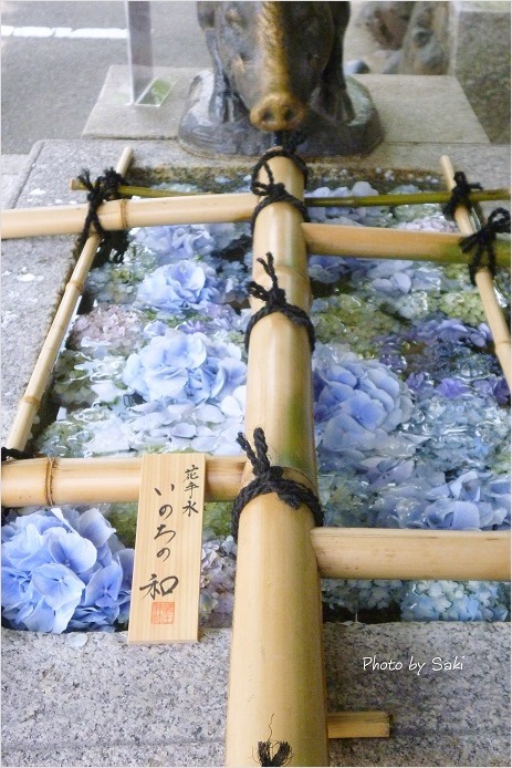 夏越の祓。_b0311208_17222365.jpg