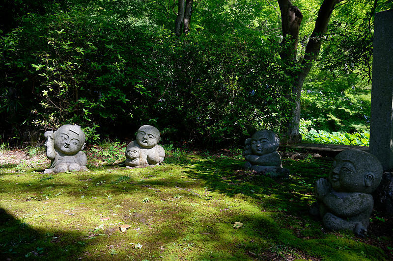 紫陽花@久安寺 其の二_f0032011_20182514.jpg