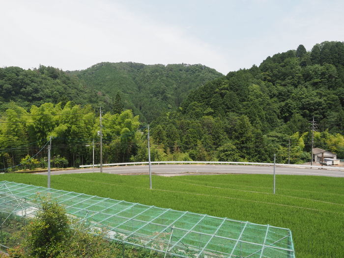 薄雲の晴れのち曇りのち雨_c0116915_00184420.jpg