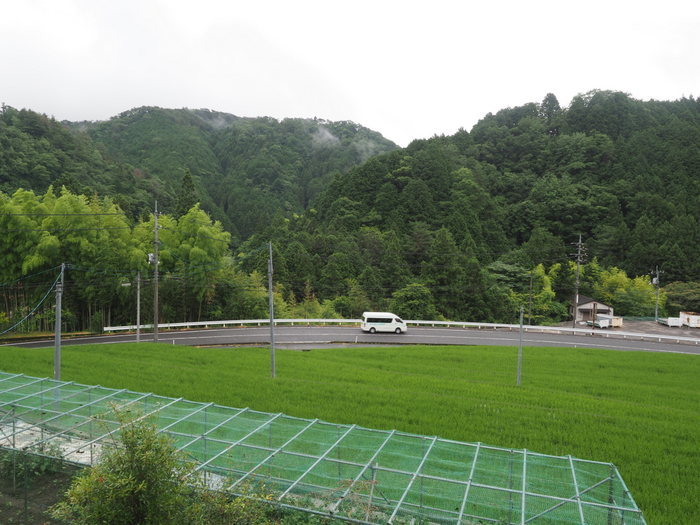 雨の一日_c0116915_23350763.jpg