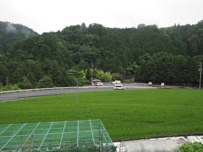 雨の一日_c0116915_23351906.jpg