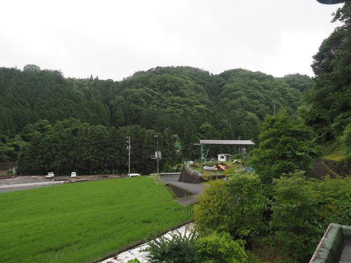雨の一日_c0116915_23352993.jpg