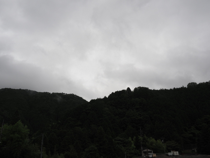 雨の一日_c0116915_23354540.jpg
