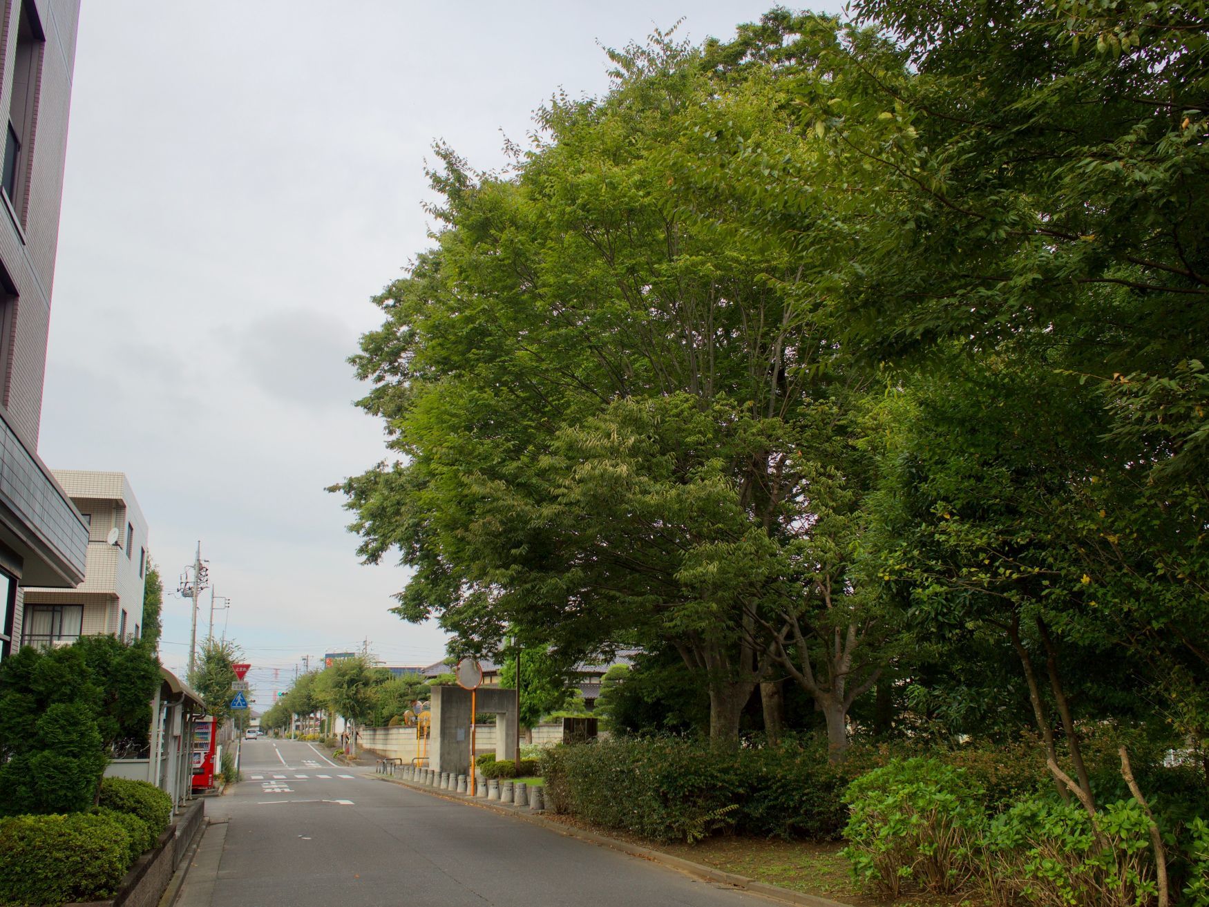 【重要文化財|シャトーカミヤ 旧醸造場施設】(牛久シャトー) 駐車場など行き方、見学のしかた_b0212342_17595906.jpg