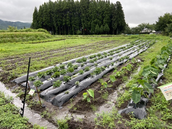 ゆたっと村の担当になりました_a0114743_16191946.jpg