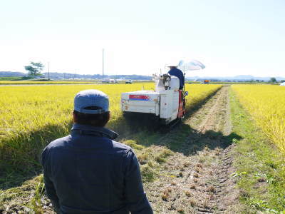 熊本県菊池市七城町『砂田のこだわりれんげ米』 今年も元気に成長中!成長の様子2020_a0254656_17445771.jpg