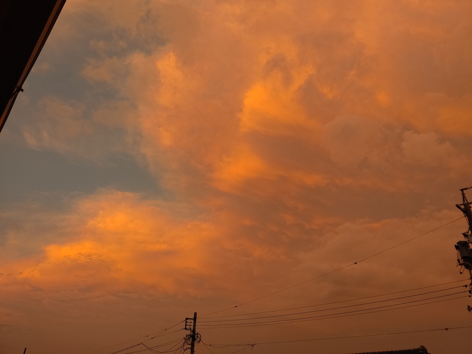 夕日🌇_b0397656_14301238.jpg