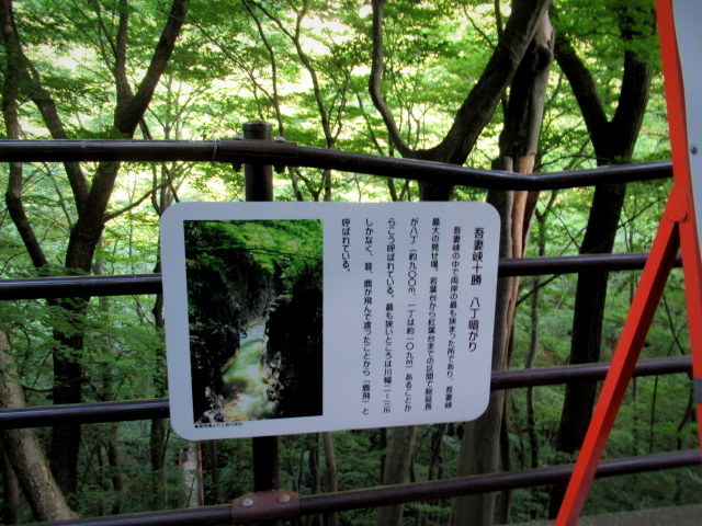 名勝 吾妻峡 * 梅雨の晴れ間、緑の渓谷に涼む♪_f0236260_21005051.jpg