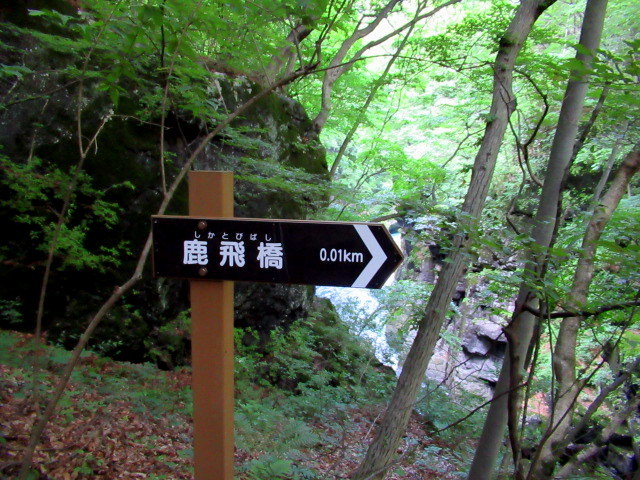 名勝 吾妻峡 * 梅雨の晴れ間、緑の渓谷に涼む♪_f0236260_21190646.jpg
