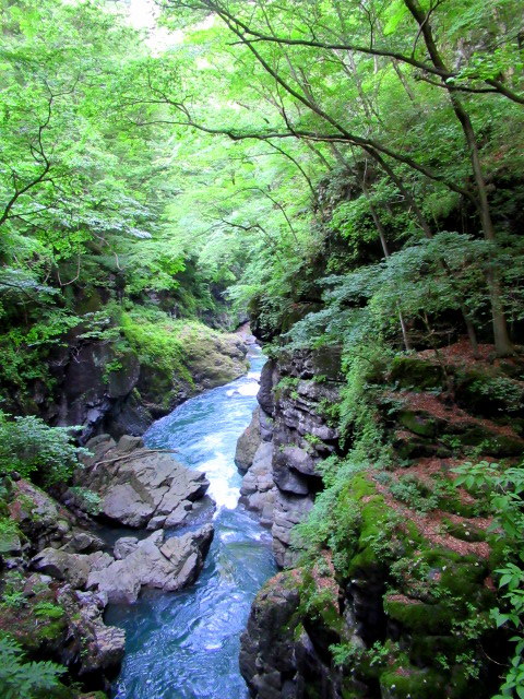 名勝 吾妻峡 * 梅雨の晴れ間、緑の渓谷に涼む♪_f0236260_21305765.jpg