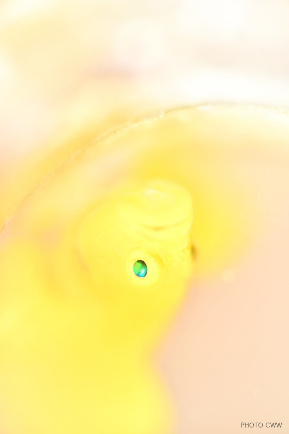 いろんなバリエーション_e0158261_06282735.jpg
