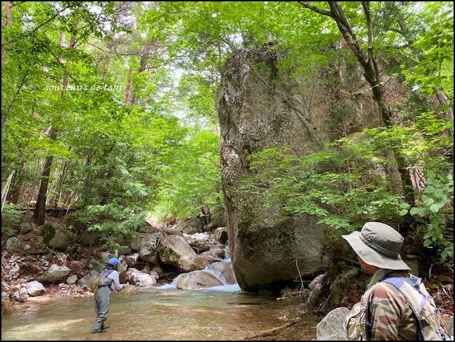 次の週は山梨_d0140490_18384607.jpg