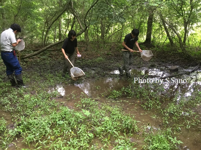 神奈川県の里山めぐり（2020年6月）_b0348205_12102327.jpg