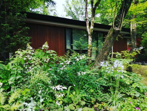 ラ・メゾン軽井沢(lamaisonkaruizawa)さんのお庭(^^)_d0331029_22081671.jpg
