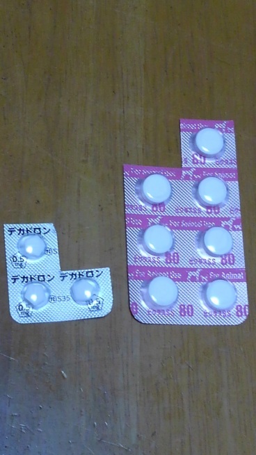 耳血腫_c0236632_14264562.jpg