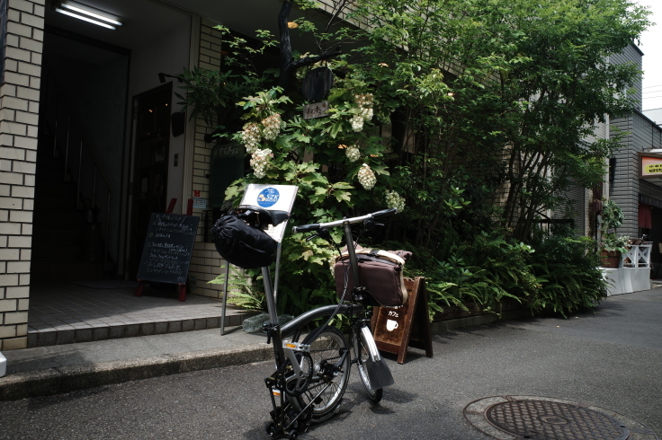 すずの木カフェ　神奈川県茅ヶ崎市元町/カフェ ギャラリー ~ 境川自転車道へ行こう その4_a0287336_12150830.jpg