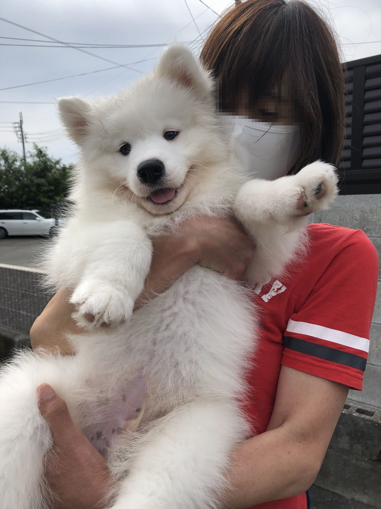 子サモに会いに行ってきました_f0128542_01490126.jpg
