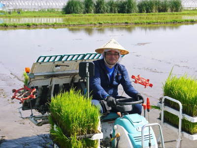 砂田のこだわりれんげ米 田植えの様子(2020) 後編:今年も兄弟二人での田植えです!_a0254656_16490516.jpg