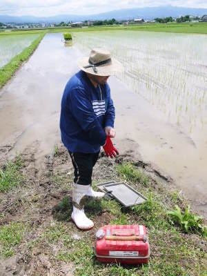 砂田のこだわりれんげ米 田植えの様子(2020) 後編:今年も兄弟二人での田植えです!_a0254656_17592009.jpg