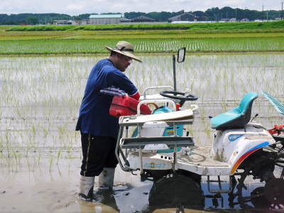 砂田のこだわりれんげ米 田植えの様子(2020) 後編:今年も兄弟二人での田植えです!_a0254656_18014489.jpg
