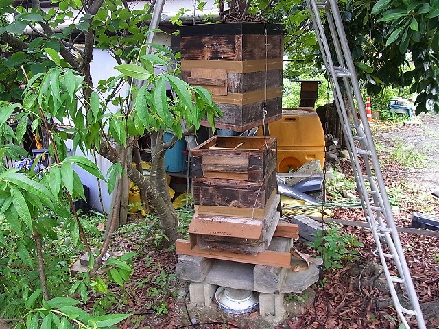 日本ミツバチ巣箱の継箱 : HikoさんのジャンクBOXの2 日本ミツバチ巣箱の継箱 : HikoさんのジャンクBOXの2