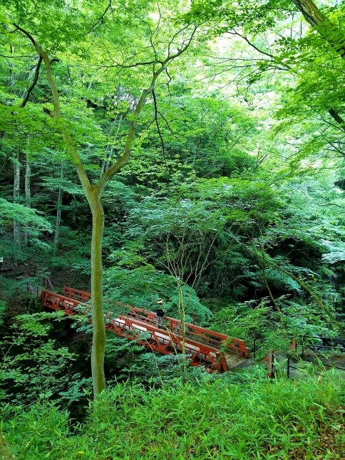 名勝 吾妻峡 * 梅雨の晴れ間、緑の渓谷に涼む♪_f0236260_01294025.jpg