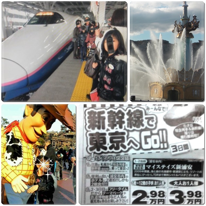 今年は諦めた「東京ディズニーリゾート」_b0236665_10391710.jpg