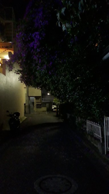 2020/6/19conc.-30am00:14上醍醐、山田浅右衛門墓と霊厳寺、西伊豆城ケ崎蓮着寺、森戸神社水天宮の子授け石、蓮を被る子、沖縄慰霊の日、葉山の庚申塔、鋸山、大力石持ち上げ方、大掃除_b0116271_01065426.jpg
