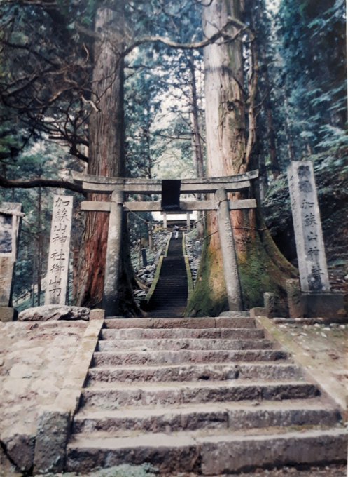 2020/6/19conc.-30am00:14上醍醐、山田浅右衛門墓と霊厳寺、西伊豆城ケ崎蓮着寺、森戸神社水天宮の子授け石、蓮を被る子、沖縄慰霊の日、葉山の庚申塔、鋸山、大力石持ち上げ方、大掃除_b0116271_01355530.jpg